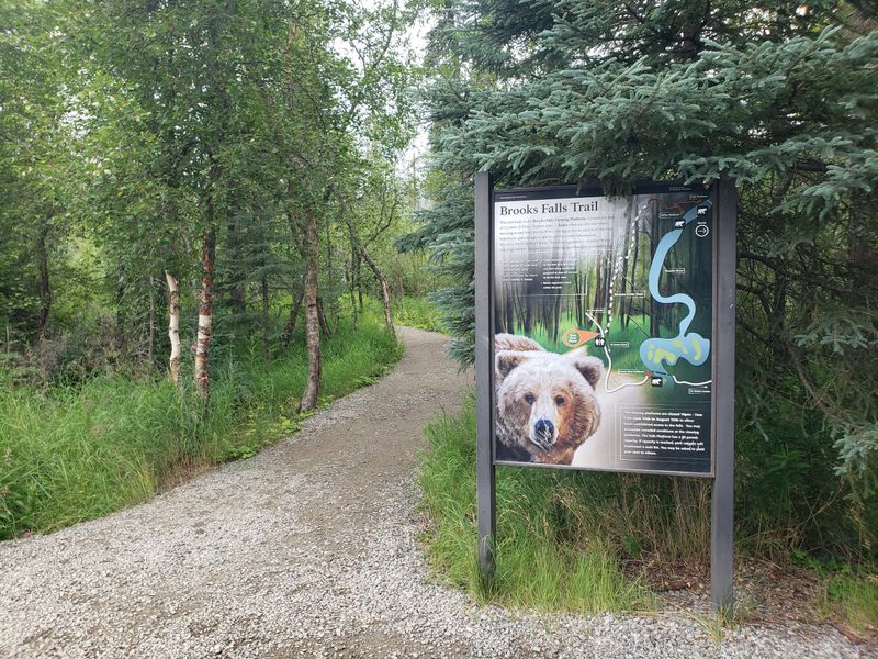 Katmai National Park - Brooks River Trail