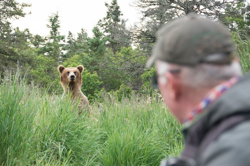 Katmai National Park