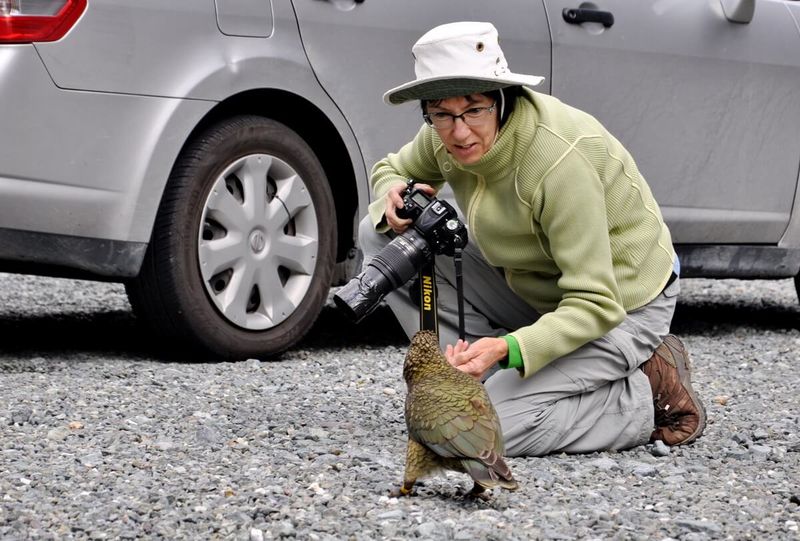 Kea