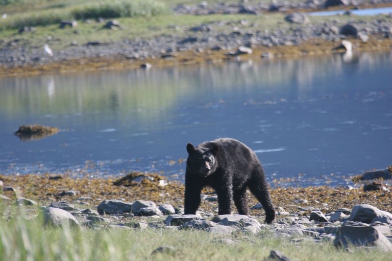 Kenai Fjords National Park