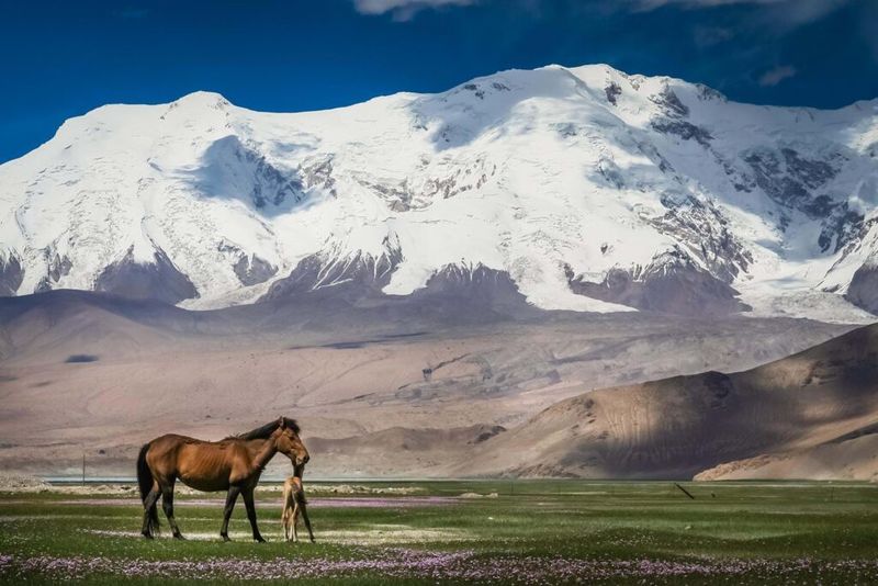 Khustain Nuruu National Park, Mongolia
