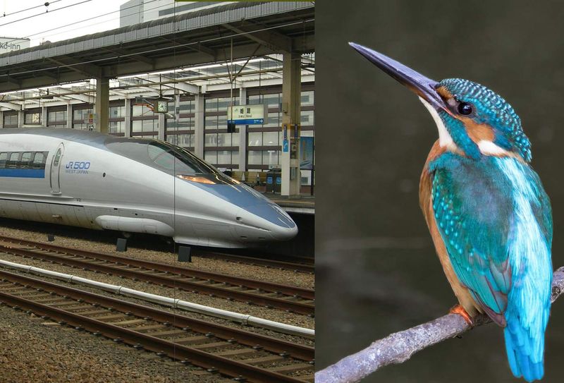 Kingfisher and Bullet Trains