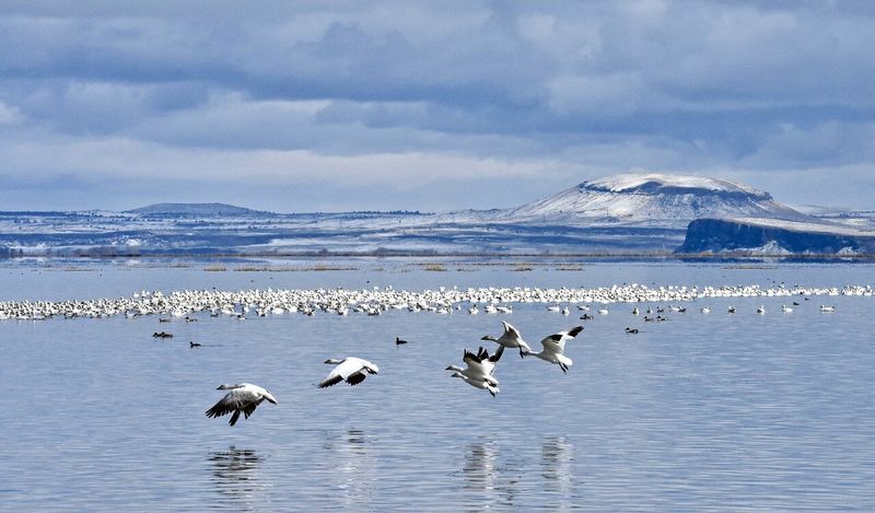 Klamath Basin, Oregon-California