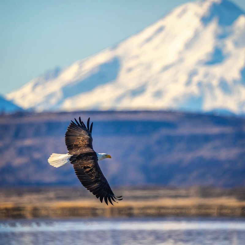 Klamath Lake, Oregon