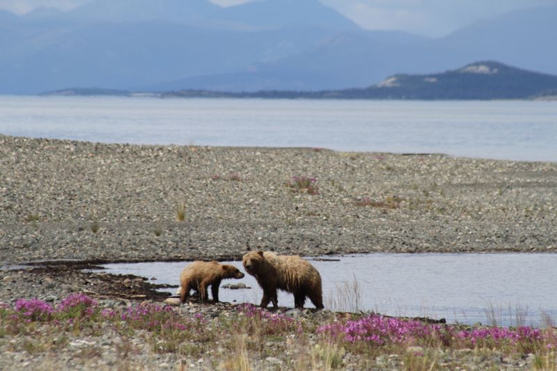 Kluane National Park