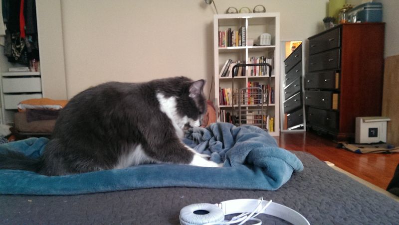 Kneading
