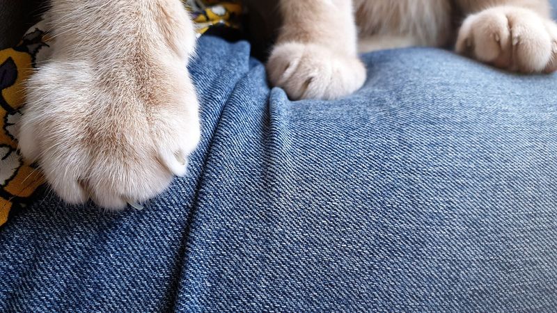 Kneading