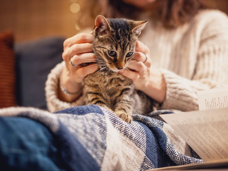 Kneading Paws