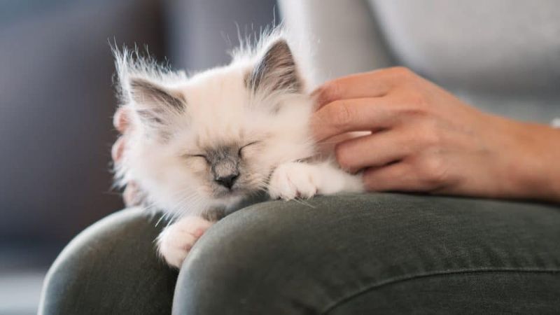 Kneading on You