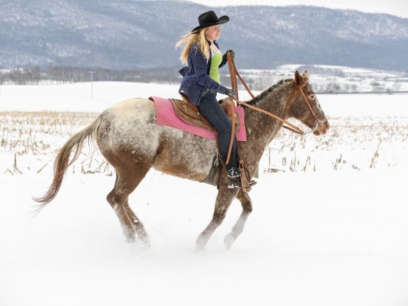 Know Your Horse's Limits