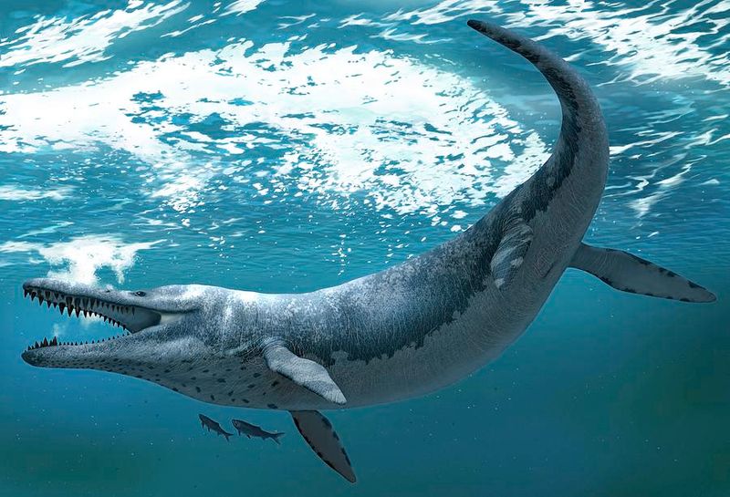 Kronosaurus