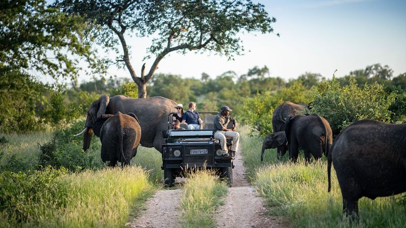 Kruger National Park Journey
