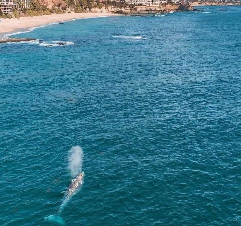 Laguna Beach, California