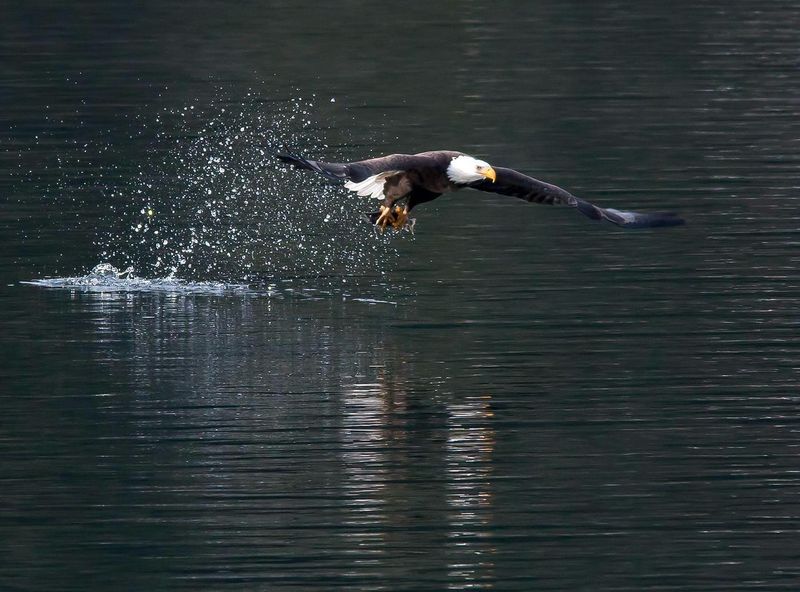 Lake Coeur d'Alene, Idaho