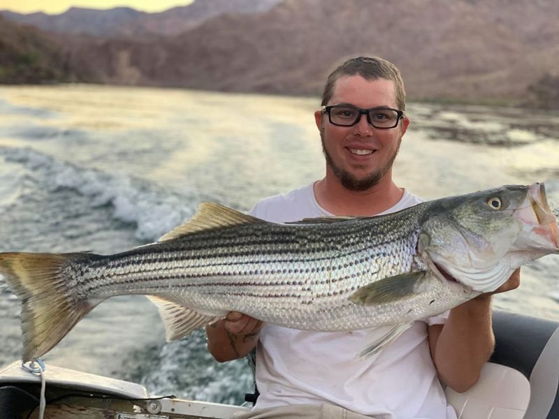 Lake Mead, Nevada