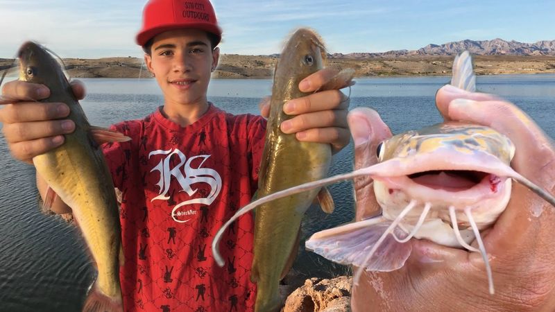 Lake Mead