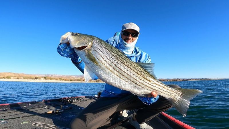Lake Mohave