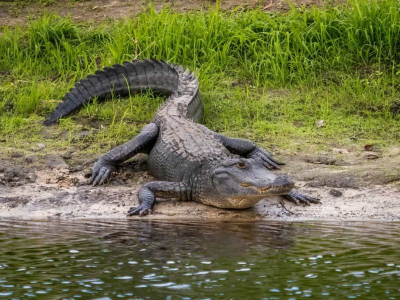 Lake Okeechobee, Florida