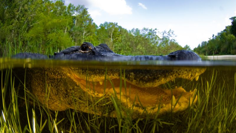 Lake Okeechobee, Florida