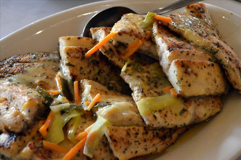 Lake Trout