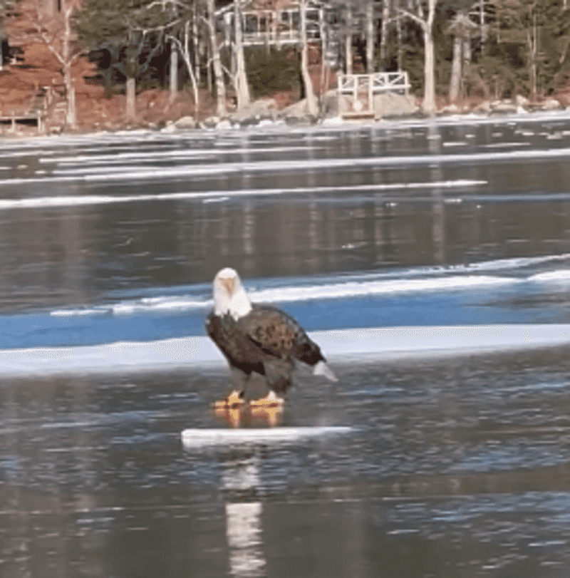 Lake Winnipesaukee, New Hampshire