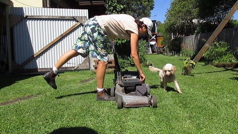 Lawn Mowers
