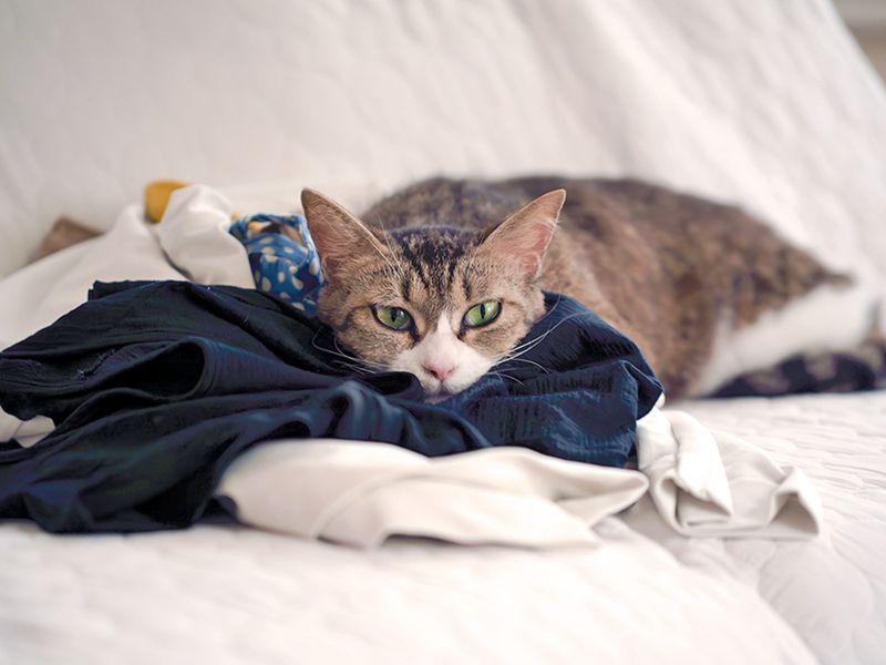 Leave Clothing with Your Scent