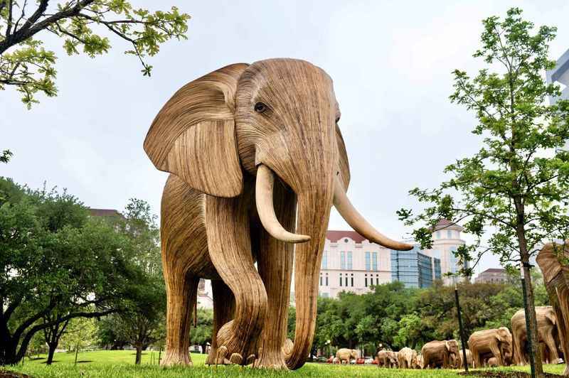 Legacy and Conservation Awareness