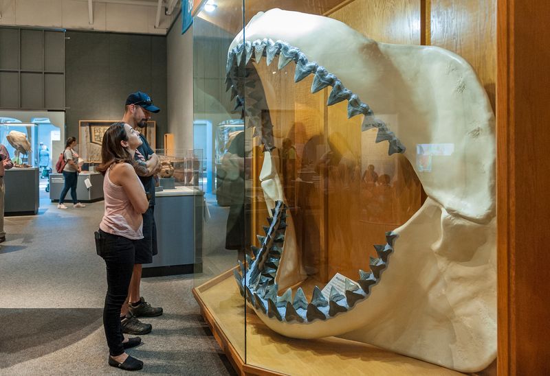 Legacy in Paleontology