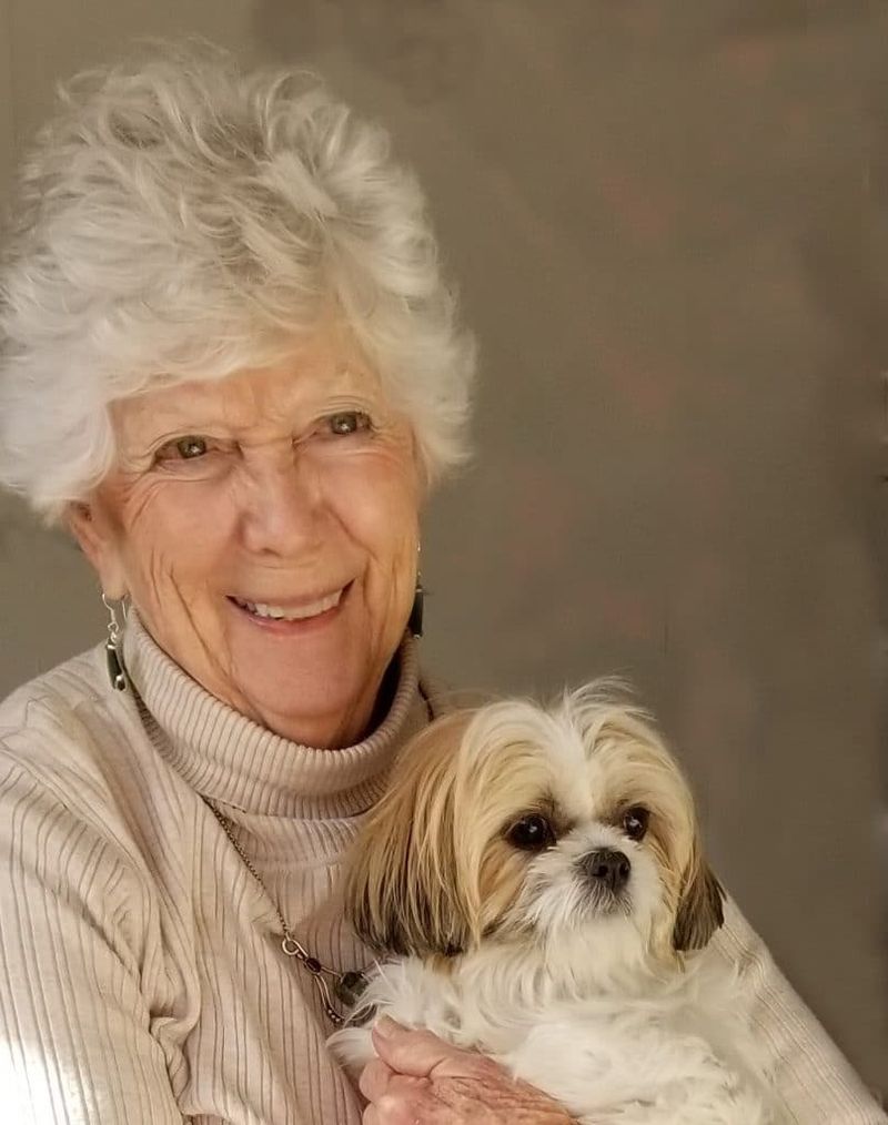 Lhasa Apso
