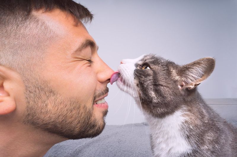 Licking Love