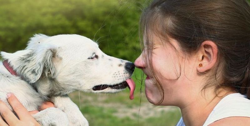 Licking You