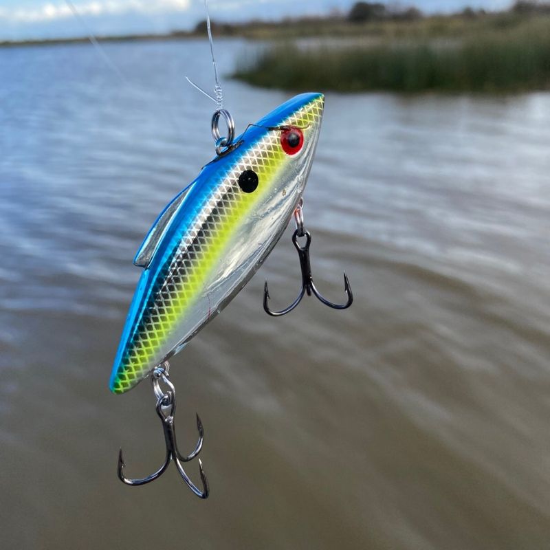 Lipless Crankbait (Won’t)