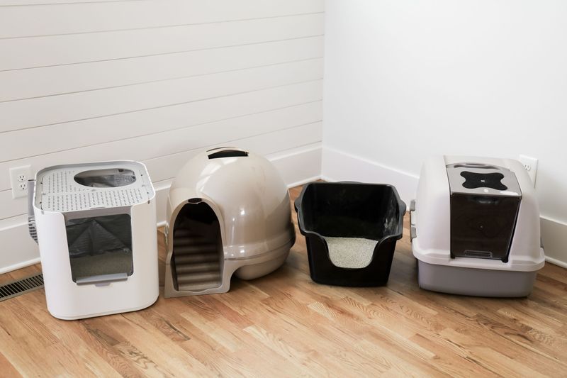 Litter Box Overcrowding