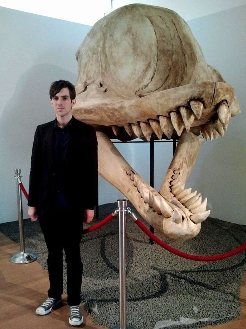 Livyatan's Skull Strength