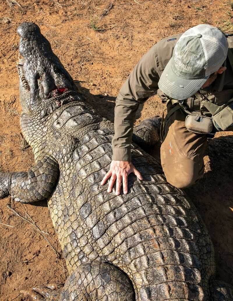 Local Folklore Surrounding the Crocodile