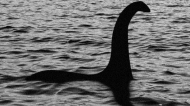 Loch Ness's Giant Eel