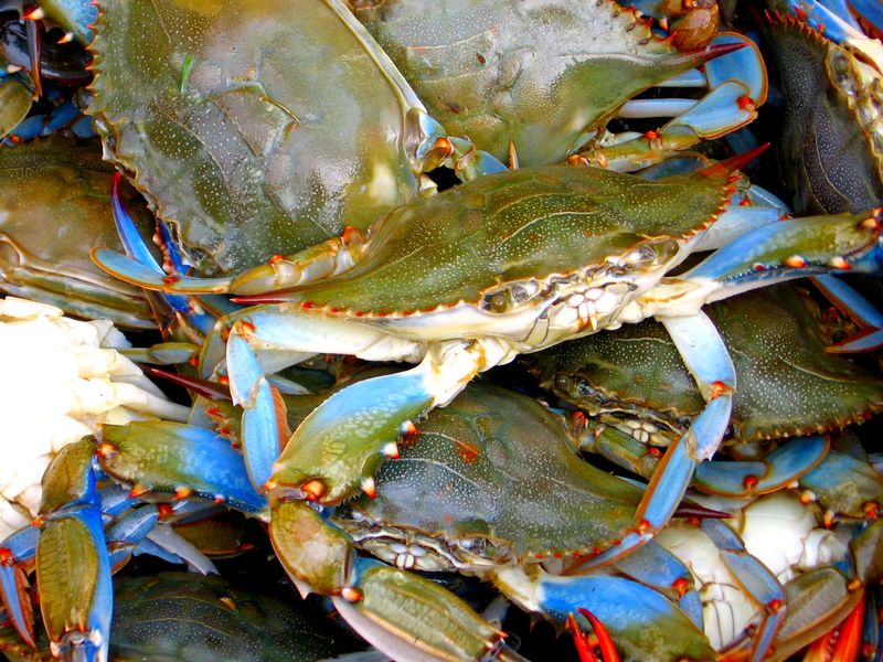 Long Island Sound, New York