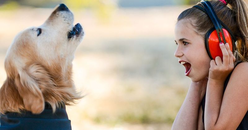 Loudest Bark by a Dog