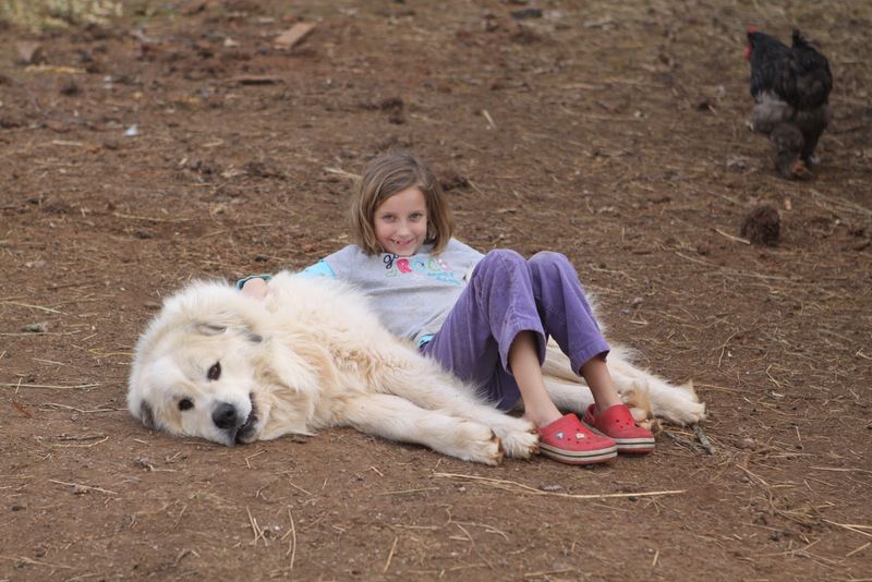 Loving Companionship