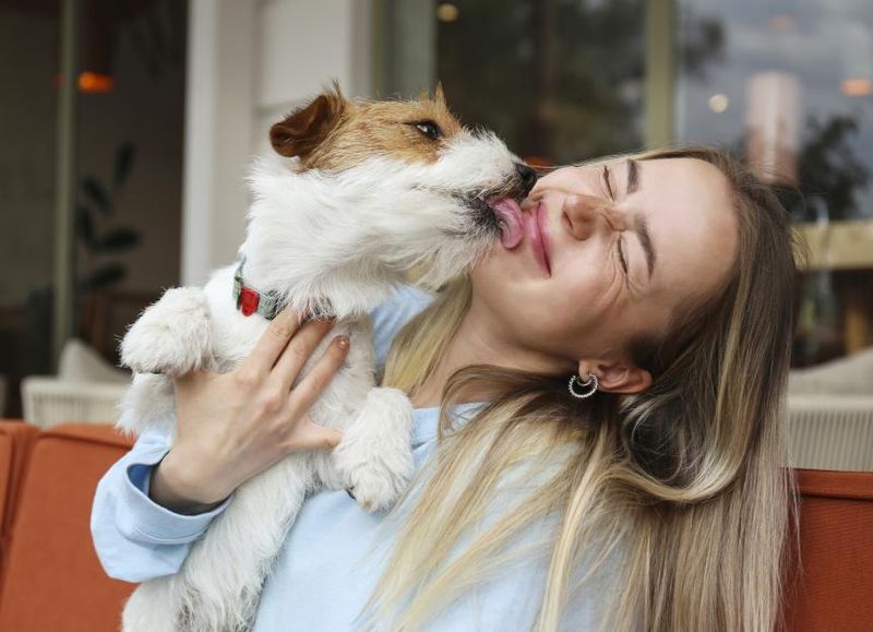 Loving Licks