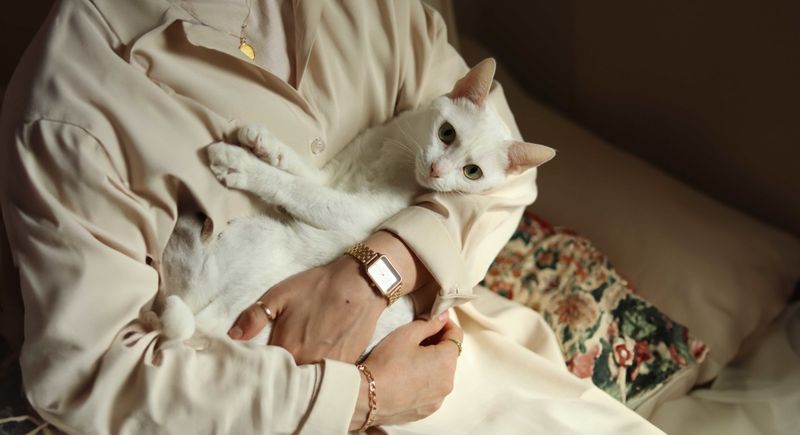 Loyal Companionship