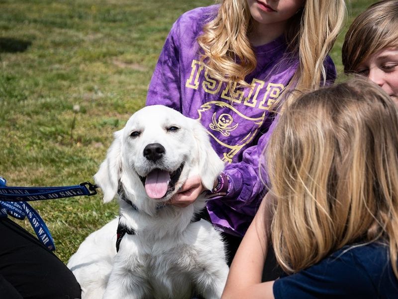 Luna the Guide Dog
