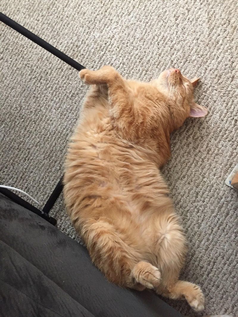 Lying on Back