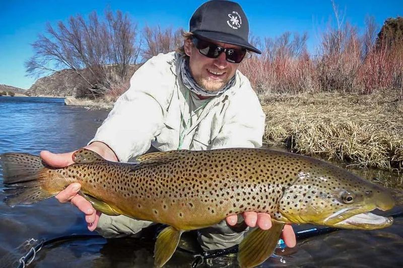 Madison River, Montana