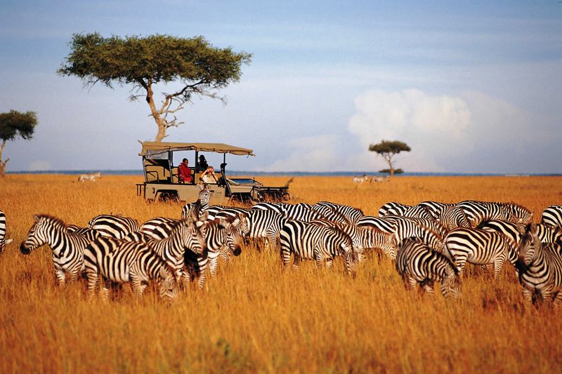 Masai Mara Big Five Safari