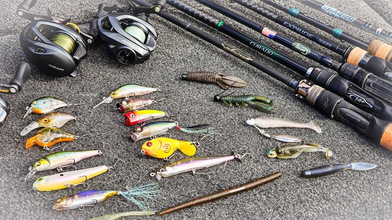 Mastering Bait Techniques