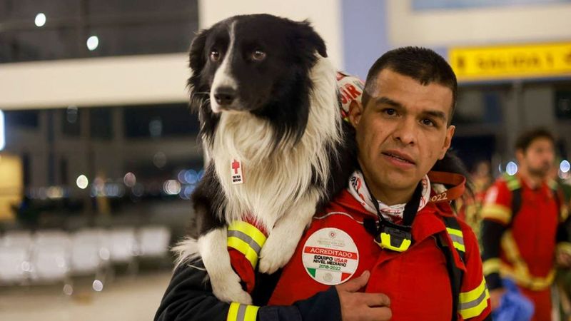 Max, the Search and Rescue Dog