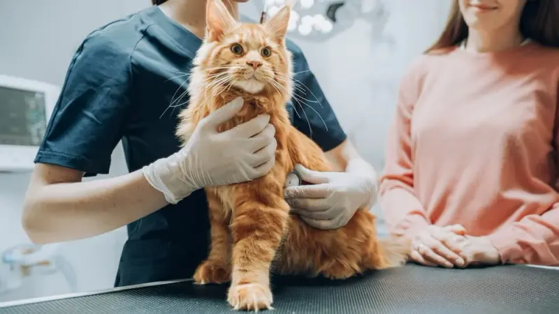 Medical Issues