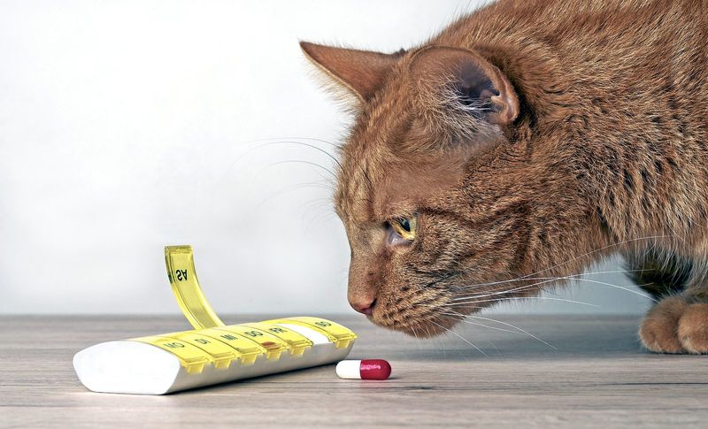 Medication Side Effects